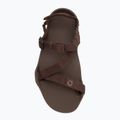 Férfi mezítlábas szandálok Xero Shoes Z-Trek barna 5