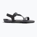 Férfi mezítlábas szandálok Xero Shoes Z-Trail EV acélszürke/aszfalt