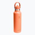 Hydro Flask Standard Flex Szívószálas termosz 620 ml nektár 2