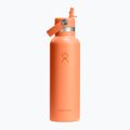 Hydro Flask Standard Flex Szívószálas termosz 620 ml nektár