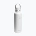 Termosz Hydro Flask Standard Flex 621 ml white 2