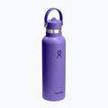 Termosz palack Hydro Flask Standard Flex 621 ml utopia purple 2