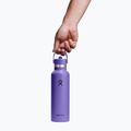 Termosz palack Hydro Flask Standard Flex 621 ml utopia purple 3