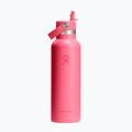 Termosz Hydro Flask Standard Flex 621 ml popstar pink