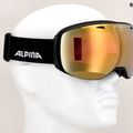 Síszemüveg Alpina Big Horn QV black matt/gold sph 4