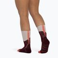 Zokni BUFF Midweight Crew wine 5