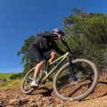 Marin Bobcat Trail 4 29 mountain bike barna A-1468G-G2-17 4