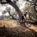Marin Bobcat Trail 5 29 fényes fekete/narancs/ezüst hegyikerékpár 3