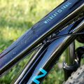 Marin Wildcat Trail 1 27.5 gloss bordó/fekete/zöld női mountain bike 4