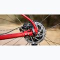 Marin Bobcat Trail 3 29 gloss charcoal/red/black hegyi kerékpár 6