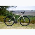 Marin Nicasio 1 gravel kerékpár 700C csontszürke 3