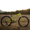 Gyermek kerékpár Orbea MX20 Team sárga M00520I6 6