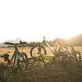 Gyermek kerékpár Orbea MX20 Team sárga M00520I6 8