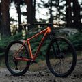 Orbea Onna 29 50 mountain bike piros M20721NA 11