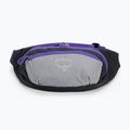 Osprey Daylite Waist 2L vesetáska szürke-lila 10004202 3