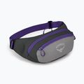 Osprey Daylite Waist 2L vesetáska szürke-lila 10004202 8