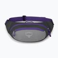 Osprey Daylite Waist 2L vesetáska szürke-lila 10004202 9