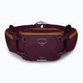 Kerékpáros övtáska Osprey Savu 5 aprium purple
