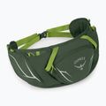 Osprey Duro Dyna 2 l tengeri moszat zöld/limon vese tasak 2