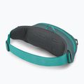 Övtáska Osprey Daylite Waist jetstream blue/cascade blue 3
