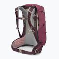 Osprey Sirrus 24 l női túra hátizsák bodzabogyó lila / chiru tan 2