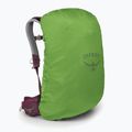 Osprey Sirrus 24 l női túra hátizsák bodzabogyó lila / chiru tan 4