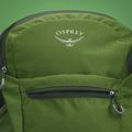Osprey Daylite Plus 20 l túrahátizsák zöld belet / zöld lombkorona túrahátizsák 4