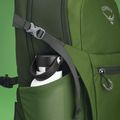 Osprey Daylite Plus 20 l túrahátizsák zöld belet / zöld lombkorona túrahátizsák 6