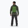 Osprey Daylite Plus 20 l túrahátizsák zöld belet / zöld lombkorona túrahátizsák 7