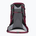 Osprey Hikelite 26 l túra hátizsák lila tinta/ lila szürkület/ cheddar narancs 3