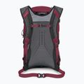 Osprey Hikelite 26 l túra hátizsák kaméleon/ fekete 3