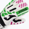 Joma Premier kapuskesztyű fehér 400510 3