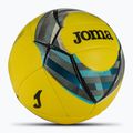 Joma Evolution III focilabda sárga/fekete/kék méret 5 2