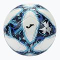 Focilabda Joma Challenge III white/royal méret: 5 3