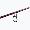Delphin Etna E3 Cork 3 sec 101000282 7