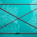 SUP deszka ABSTRACT Coral 10'6'' topaz 3