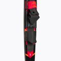 JOBE Allegre Combo wakeboard szett piros 208822003 7
