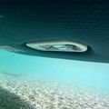 JOBE SUP deszka E-Duna Elite 11'6" csomag tengerészkék 488823001 18