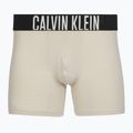 Boxeralsó Calvin Klein 000NB3609A Boxer Brief 3 pairs oatmeal/aged redwood/bright turquoise 2