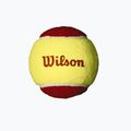 Wilson Starter Red Tball 12 db sárga/piros WRT137100 készlet 3