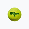 Gyermek teniszlabda szett Wilson Starter Play Green 4 db sárga WRT137400 3