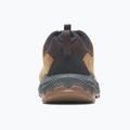 Férfi túracipő Merrell Forestbound tan 10