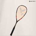 Squash ütő VICTOR IP RK 9