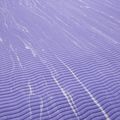 Jógaszőnyeg Reebok RAYG-11045PL purple 6