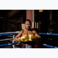Boxkesztyű Fairtex Universal "Tight-Fit" Design Falcon gold 2