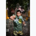 Boxkesztyű Fairtex F-DAY Limited Edition pickle 5