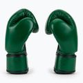 Boxkesztyű Fairtex Real Leather Boxing green 4