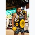 Fairtex Speed & Accuracy Focus Mitts fekete/arany edzőmancsok fekete/arany edzőmancsok 6