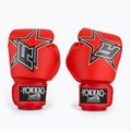 Boxkesztyű YOKKAO Institution Boxing red 2