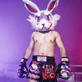 Férfi edzőshort YOKKAO Angry Rabbit Muay Thai black 6